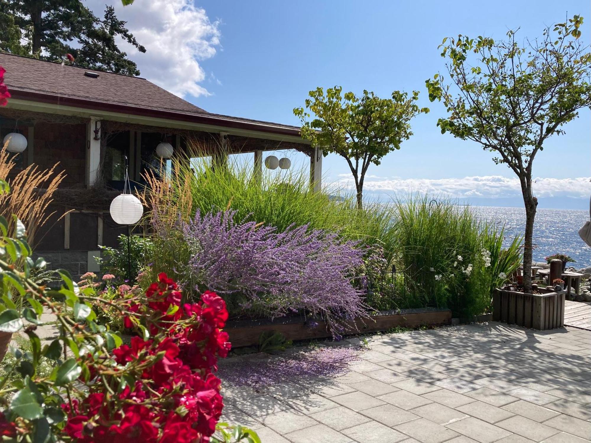 Blitz Beach House Oceanside Suite Powell River Exterior foto